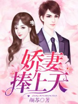 娇妻捧上天 封面