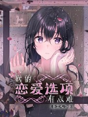 我的恋爱选项有点难 封面