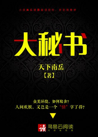 大秘书 封面