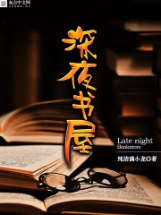 深夜书屋 封面