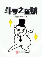斗罗之盗贼 封面