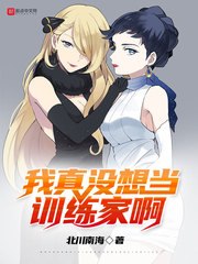 我真没想当训练家啊 封面