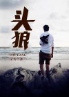 头狼 封面