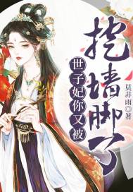 世子妃你又被挖墙脚了 封面