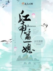 江南第一媳 封面