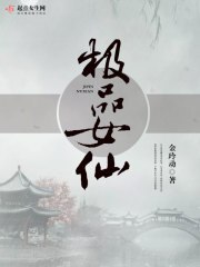 极品女仙 封面