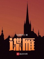 谍雁 封面