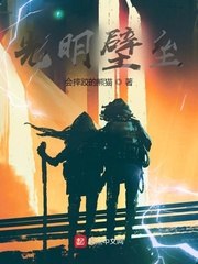光明壁垒 封面