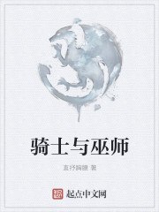 骑士与巫师 封面