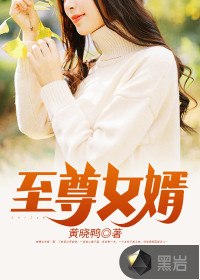 至尊女婿 封面