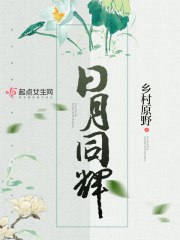日月同辉 封面