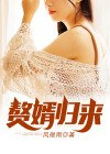 赘婿归来 封面