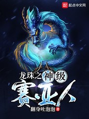 龙珠之神级赛亚人 封面