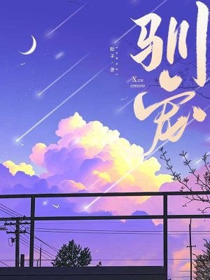 驯宠 封面