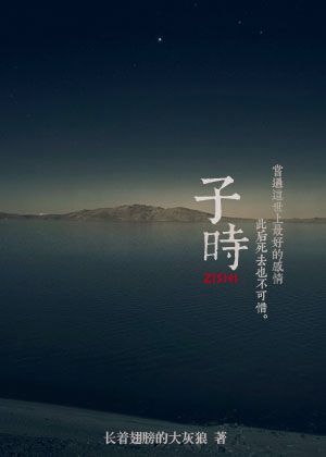 子时 封面