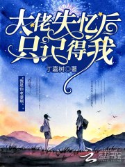 大佬失忆后只记得我 封面