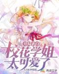 开局表白:校花学姐太可爱了 封面
