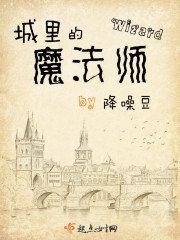 城里的魔法师 封面