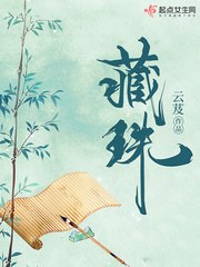 藏珠 封面
