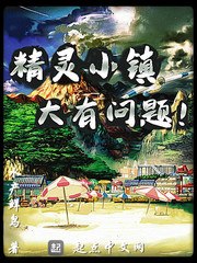 精灵小镇大有问题 封面