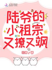 陆爷的小祖宗又撩又飒 封面