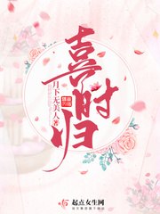 喜时归 封面