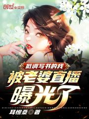 低调写书的我被老婆直播曝光了 封面