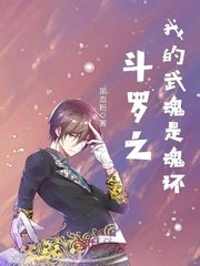 斗罗之我的武魂是魂环 封面