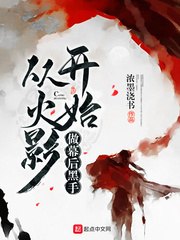 从火影开始做幕后黑手 封面