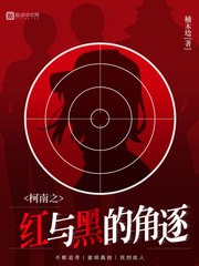 柯南之红与黑的角逐 封面