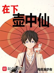 在下壶中仙 封面