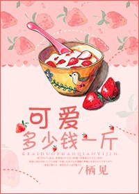 初栀陆嘉珩 封面