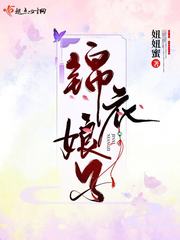 锦衣娘子 封面