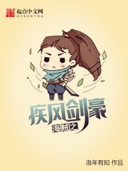 海贼之疾风剑豪 封面