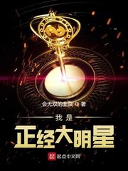 我是正经大明星 封面