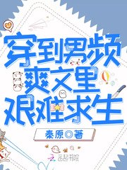 苏叶夙倾 封面