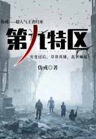 第九特区 封面