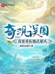 奇观误国:我要重振魏武雄风 封面